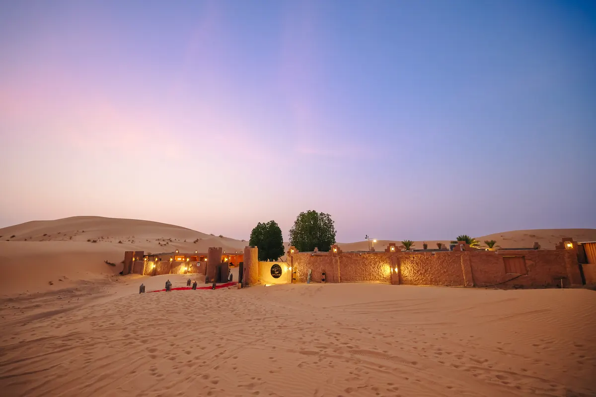 Camel Riding in the UAE: What It Is Actually Like Camel Riding in the UAE: What It Is Actually Like